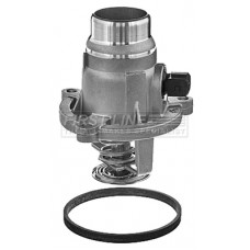 Mahle Thermostat, coolant